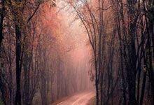 开云：【原创】足球彩票预测：周六010英超-利物浦VS伊普斯维奇.