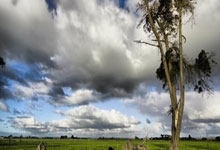 [澳网]展望澳网 阿尔卡拉斯冲击全满贯.